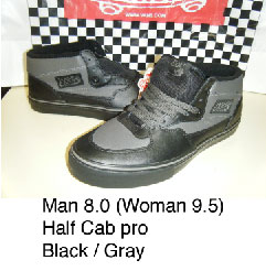 1grayhalfcab.jpg